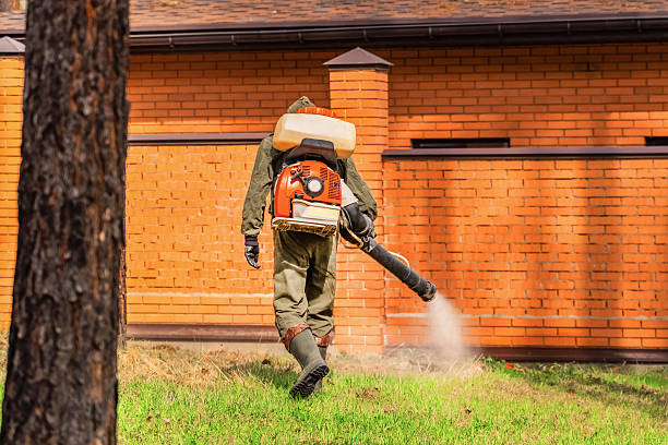 Trusted Cockroach Control service in Prince's Lakes, IN - Nex Pest Control